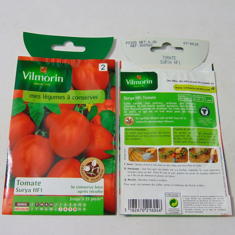Beispiel eines Exemplars von Tomate Surya - Vilmorin die Tüte mit 60 Samen (0.2g) wie geliefert