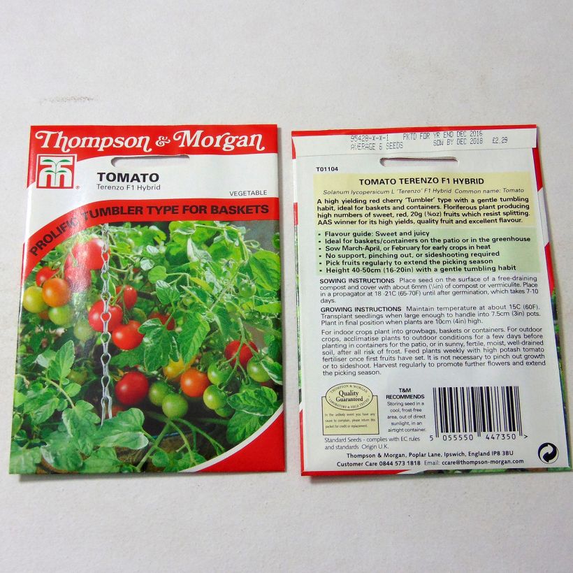 Beispiel eines Exemplars von Kirschtomate Terenzo die Tüte mit 6 Samen wie geliefert
