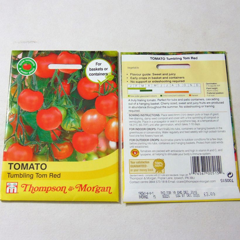 Beispiel eines Exemplars von Kirschtomate Tumbling Tom Red die Tüte mit 15 Samen wie geliefert