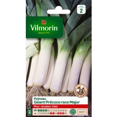 Lauch-Porree Major - Vilmorin