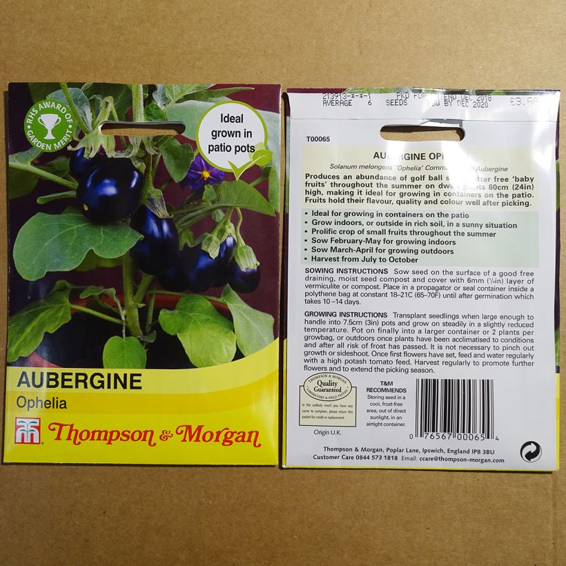 Beispiel eines Exemplars von Aubergine Ophelia F1 die Tüte mit 6 Samen wie geliefert