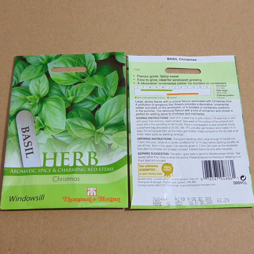 Beispiel eines Exemplars von Basilikum Christmas die Tüte mit 150 Samen wie geliefert