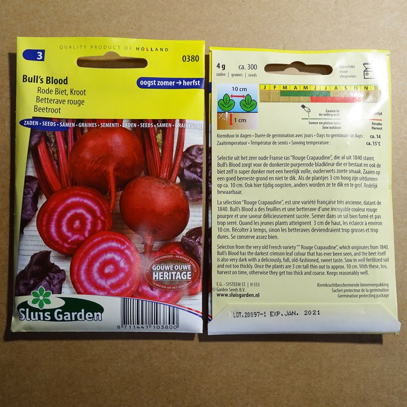 Beispiel eines Exemplars von Rote Bete Bull’s Blood die Tüte mit 200 Samen (5g) wie geliefert