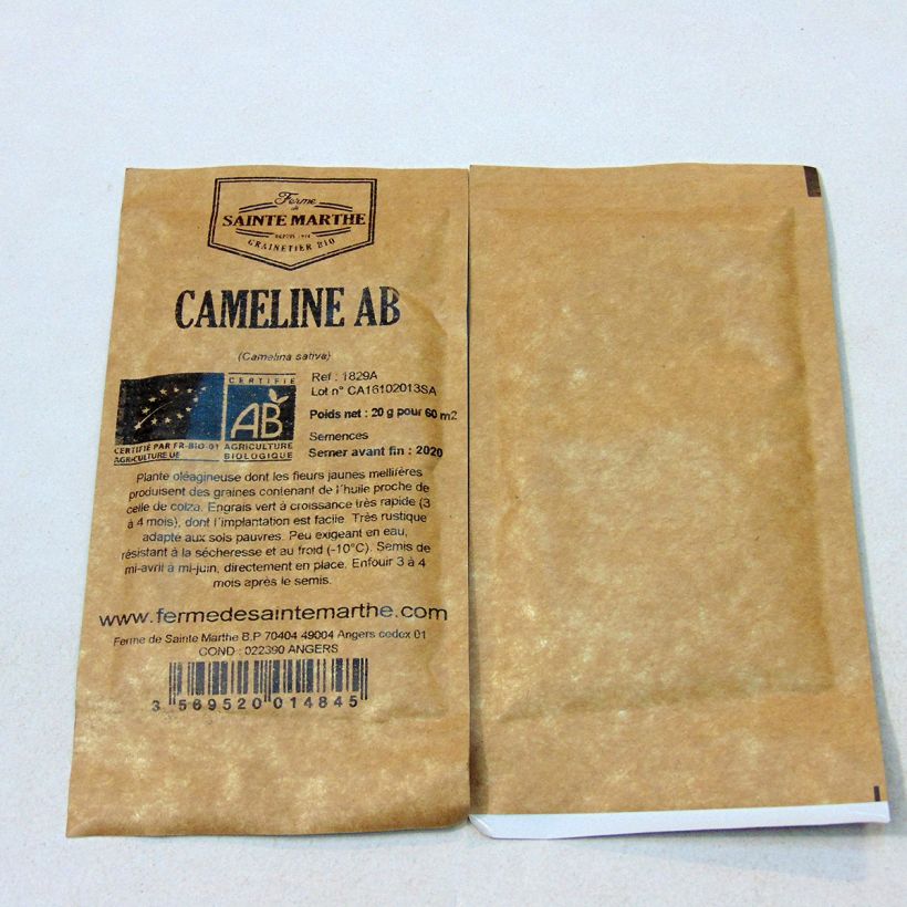 Beispiel eines Exemplars von Leindotter - Camelina sativa die Tüte mit Samen von 20 Gramm wie geliefert