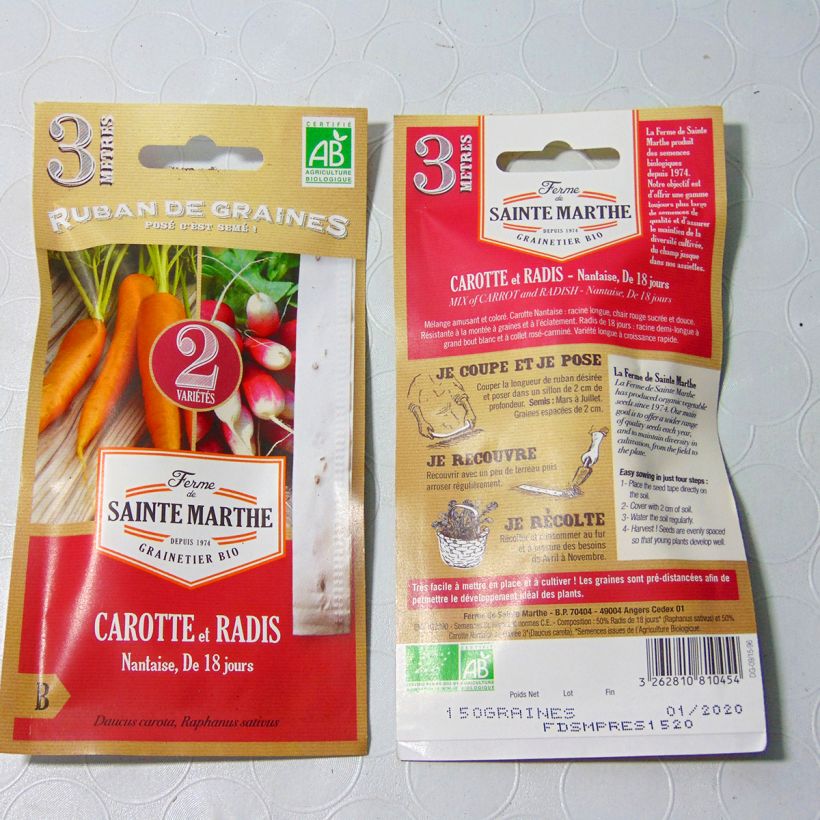 Beispiel eines Exemplars von Karottenbandkarte Nantaise - Rettich von 18 Tagen - Bio - Ferme de Sainte Marthe Samen in Bändern wie geliefert