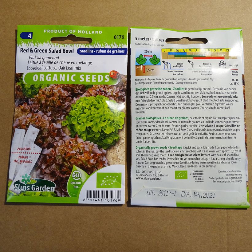 Beispiel eines Exemplars von Schnittsalat Salad Bowl (Saatband) Samen in Bändern wie geliefert