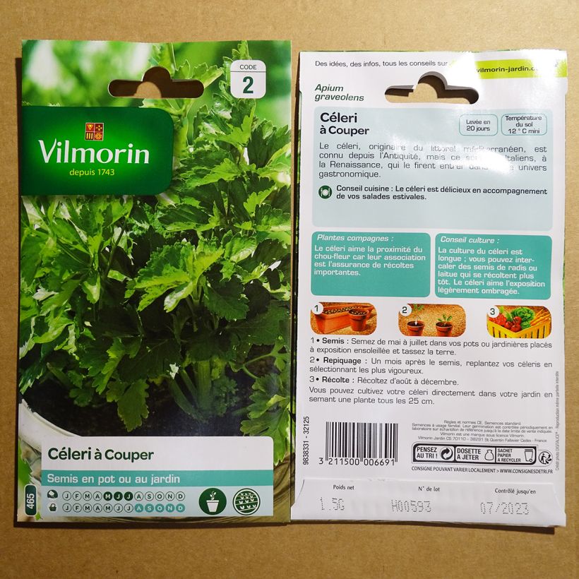 Beispiel eines Exemplars von Echter Sellerie - Apium graveolens die Tüte mit 2500 Samen (1g) wie geliefert