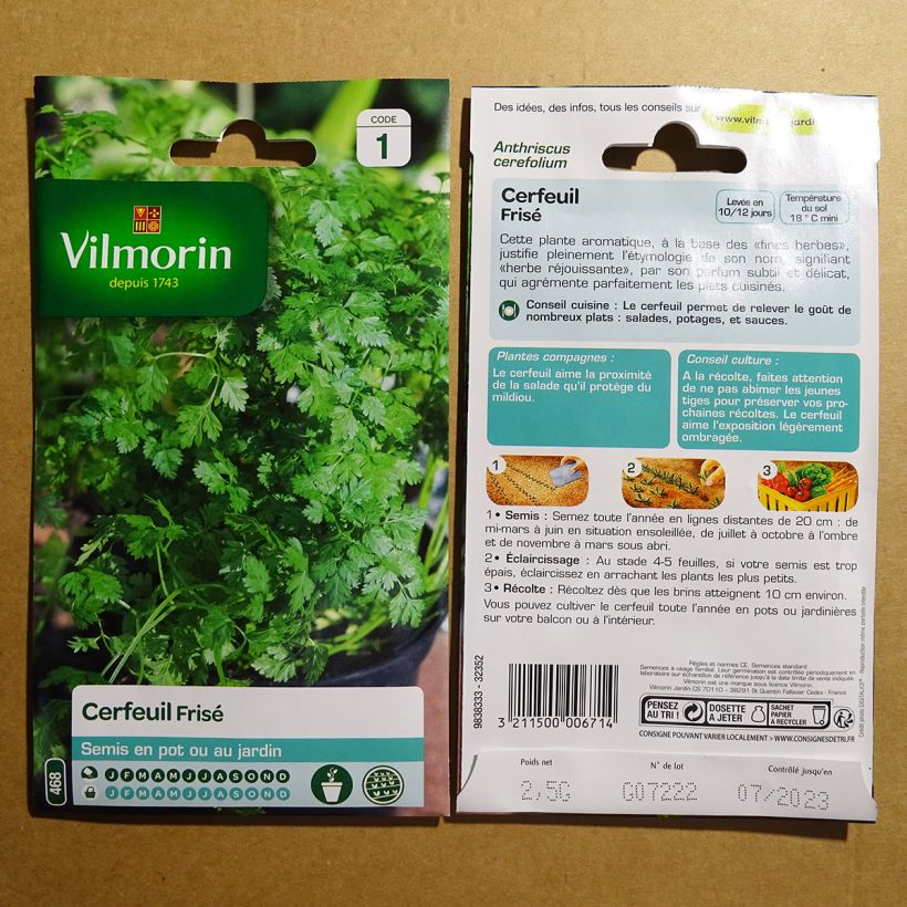Beispiel eines Exemplars von Krausiger Kerbel - Vilmorin - Anthriscus cerefolium die Tüte mit 30 Samen (2g) wie geliefert