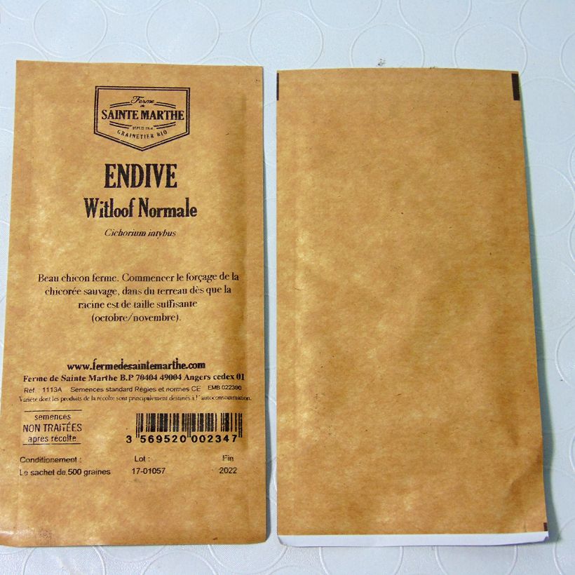 Beispiel eines Exemplars von Endivie Witloof Alba Bio - Ferme de Sainte Marthe die Tüte mit 500 Samen (1g) wie geliefert