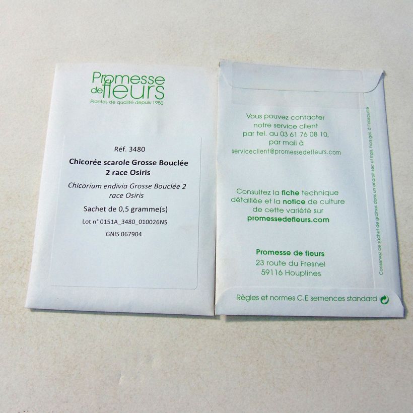 Beispiel eines Exemplars von Endivie Escariol Grobo 2 race Osiris die Tüte mit 300 Samen (0.5g) wie geliefert