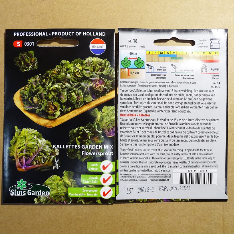 Beispiel eines Exemplars von Rosenkohl Kalettes Flower Sprout - Kalettes Garden Mix die Tüte mit 18 Samen wie geliefert
