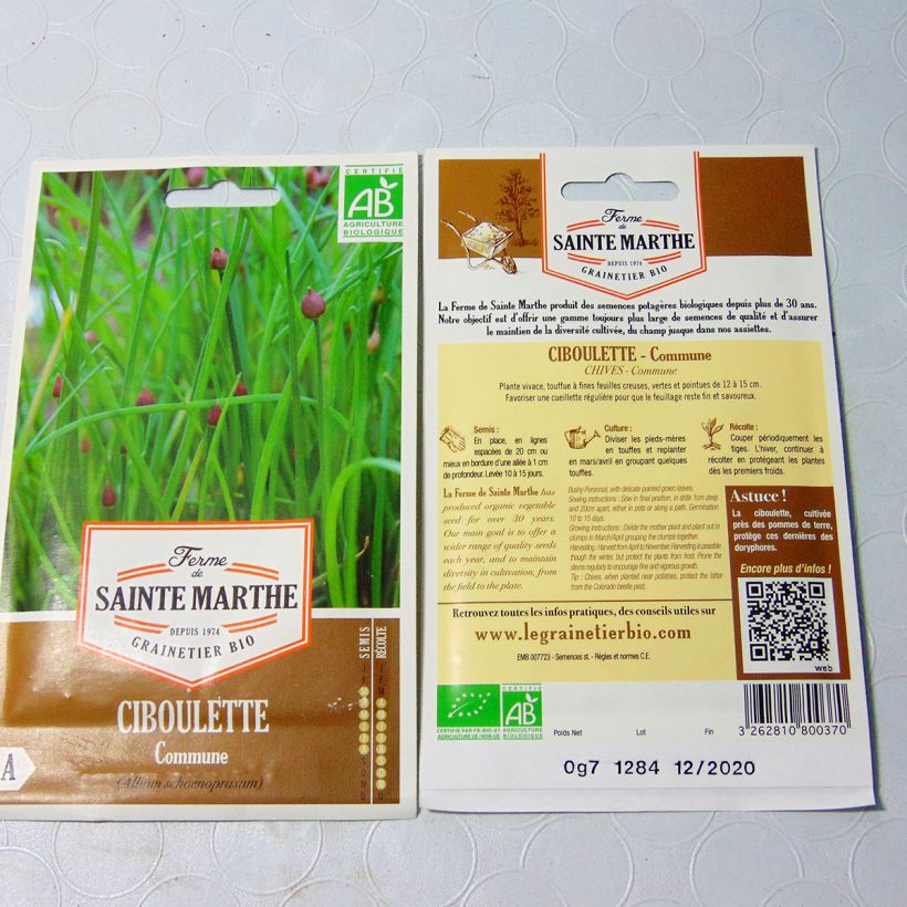 Beispiel eines Exemplars von Schnittlauch Samen Bio- Ferme de Ste Marthe die Tüte mit 600 Samen wie geliefert