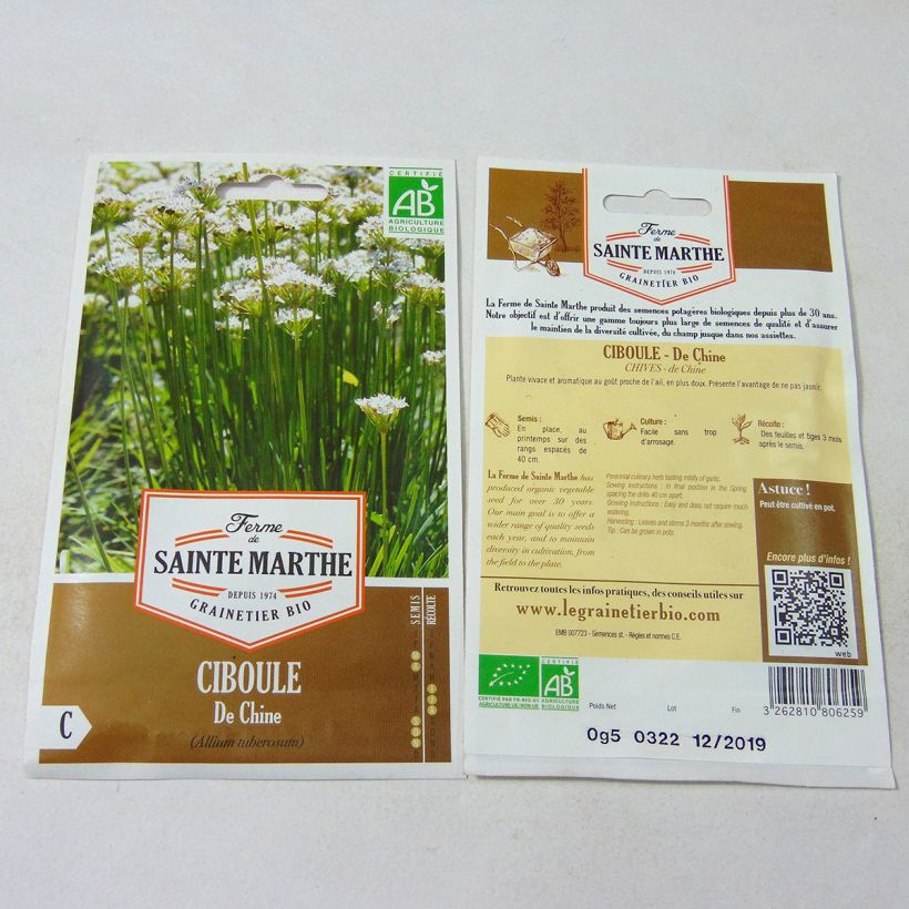 Beispiel eines Exemplars von Schnittknoblauch Samen Bio- Ferme de Ste Marthe die Tüte mit 100 Samen wie geliefert