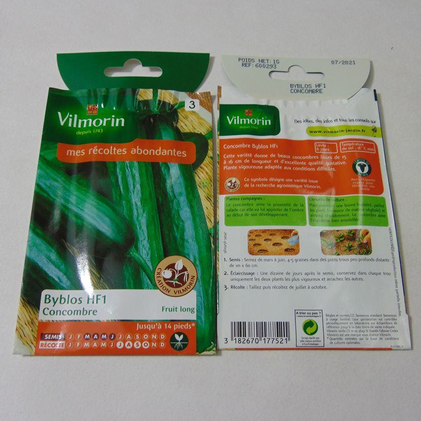 Beispiel eines Exemplars von Snack-Gurke Byblos - Vilmorin die Tüte mit 35 Samen (1g) wie geliefert