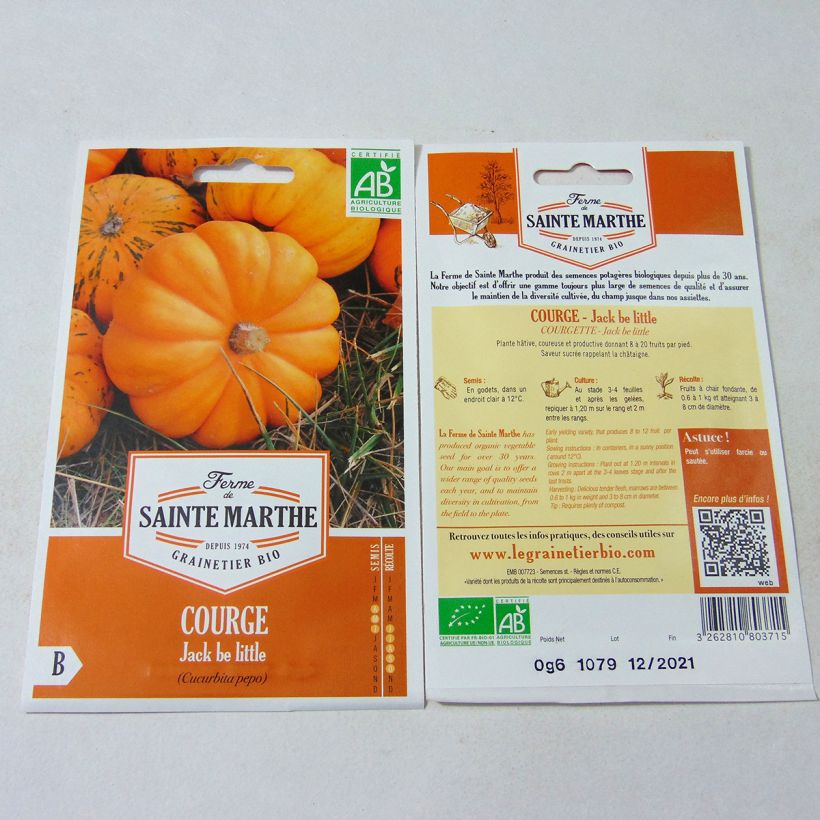 Beispiel eines Exemplars von Miniaturkürbis Jack Be Little Bio - Ferme de Sainte Marthe die Tüte mit 8 Samen (0.6g) wie geliefert