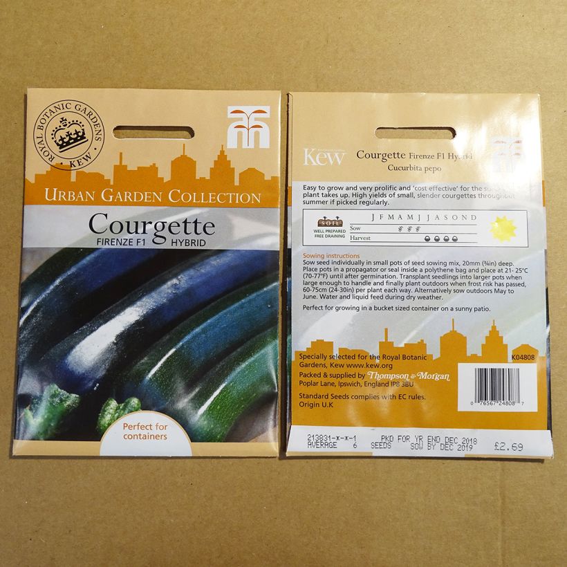 Beispiel eines Exemplars von Garten-Kürbis Firenze die Tüte mit 6 Samen wie geliefert