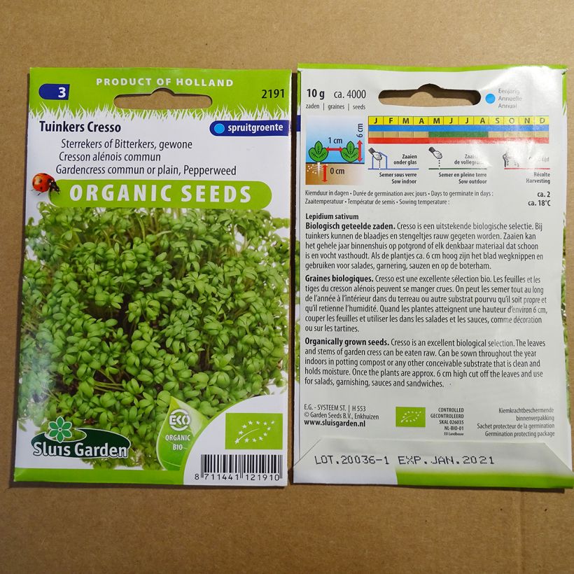 Beispiel eines Exemplars von Garten-Kresse Bio - Lepidium sativum die Tüte mit 3650 Samen (10g) wie geliefert