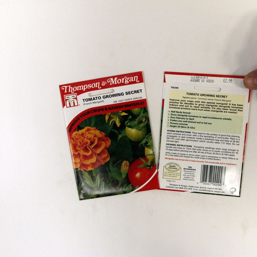 Beispiel eines Exemplars von Studentenblume Tomato Growing Secret die Tüte mit 50 Samen wie geliefert