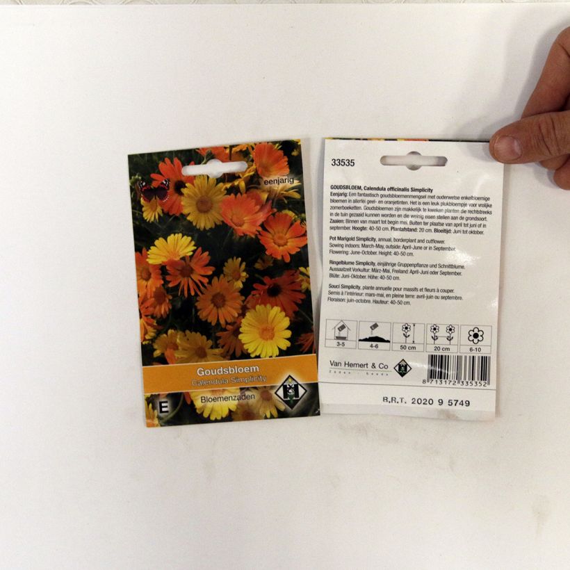 Beispiel eines Exemplars von Ringelblume Simplicity (Samen) - Calendula officinalis die Tüte mit 150 Samen (1g) wie geliefert