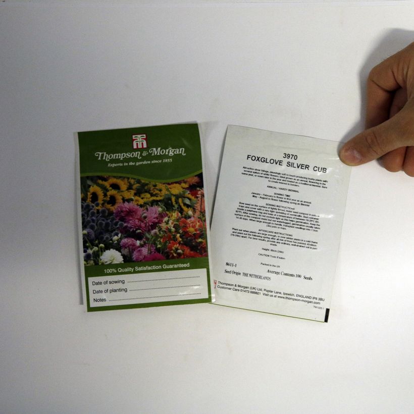 Beispiel eines Exemplars von Fingerhut Silver Club (Samen) - Digitalis purpurea ssp heywoodii die Tüte mit 100 Samen wie geliefert