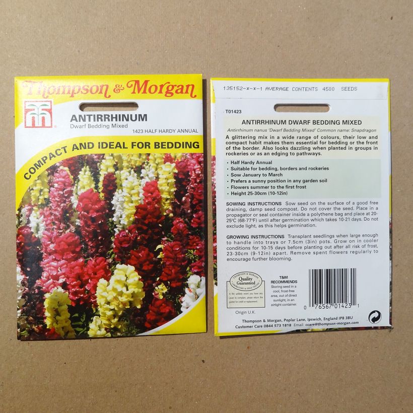 Beispiel eines Exemplars von Löwenmäulchen Nanum Dwarf Bedding Mixed (Samen) - Antirrhinum die Tüte mit 4500 Samen wie geliefert