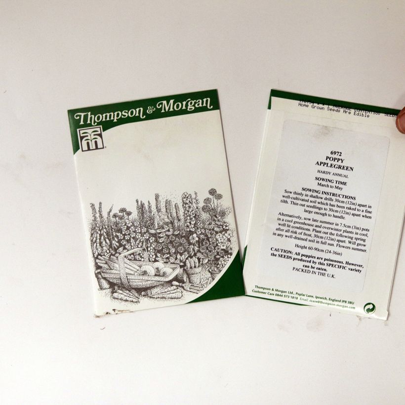 Beispiel eines Exemplars von Schlafmohn Applegreen (Samen) - Papaver die Tüte mit 80 Samen wie geliefert