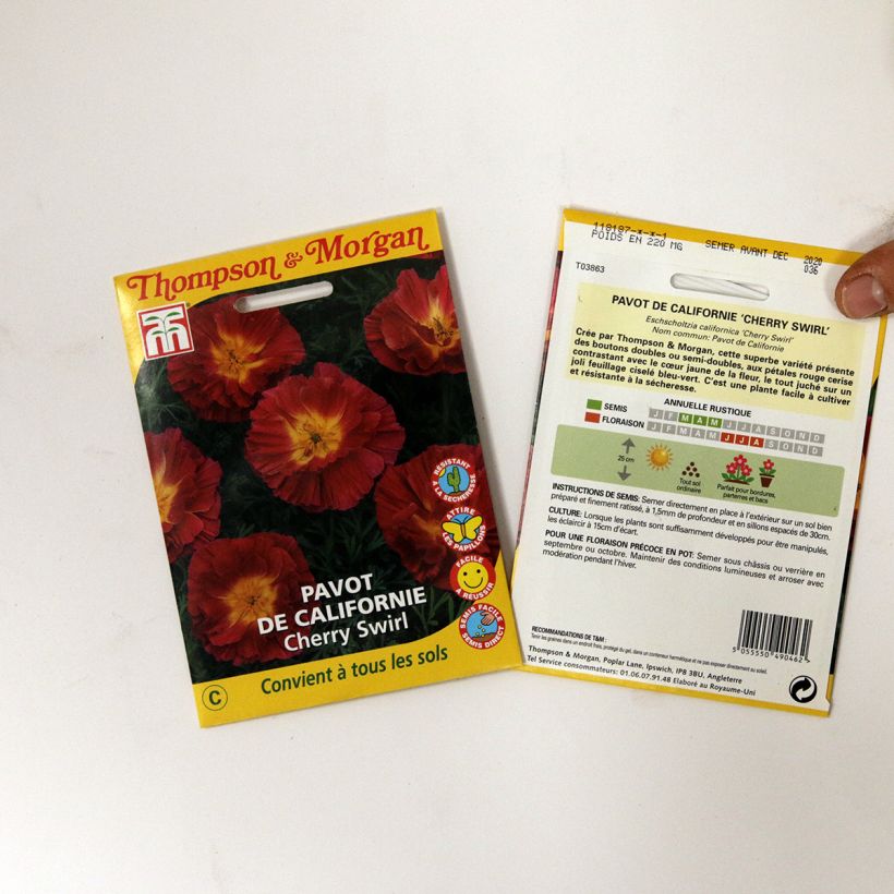 Beispiel eines Exemplars von Goldmohn Cherry Swirl (Samen) - Eschscholzia californica die Tüte mit 250 Samen (0,3g) wie geliefert