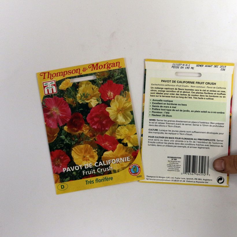 Beispiel eines Exemplars von Goldmohn Fruit Crush (Samen) - Eschscholzia californica die Tüte mit 150 Samen wie geliefert