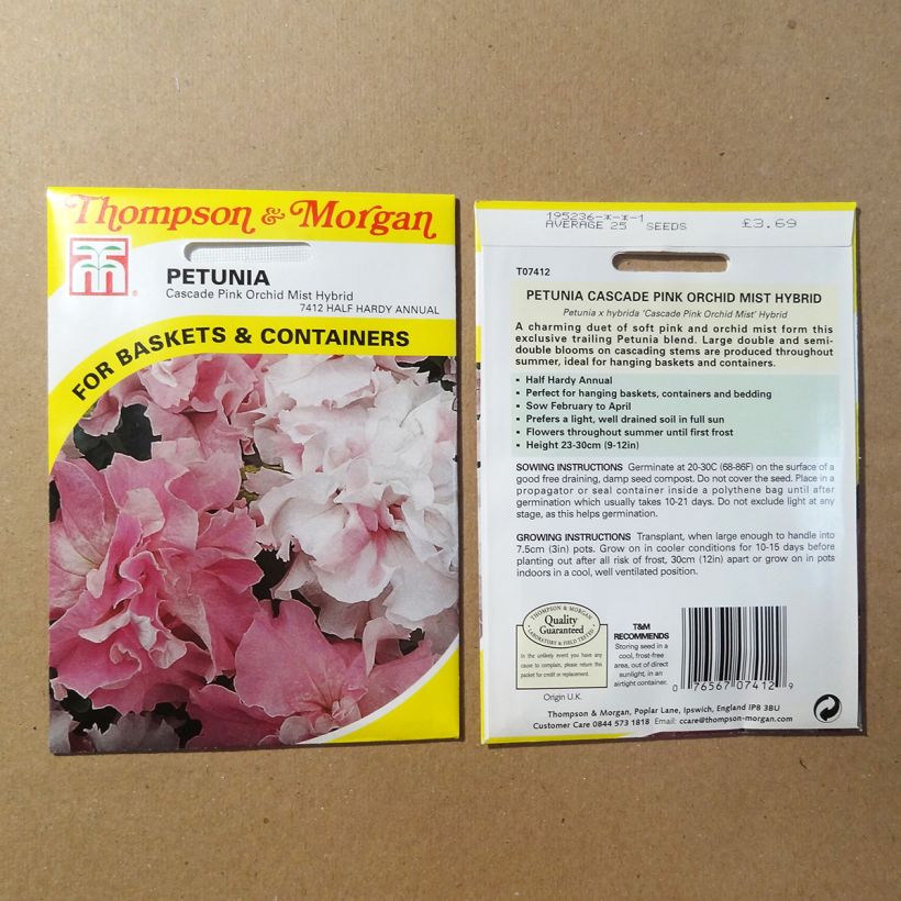 Beispiel eines Exemplars von Petunia Cascade Pink Orchid Mist (Samen) die Tüte mit 25 Samen wie geliefert