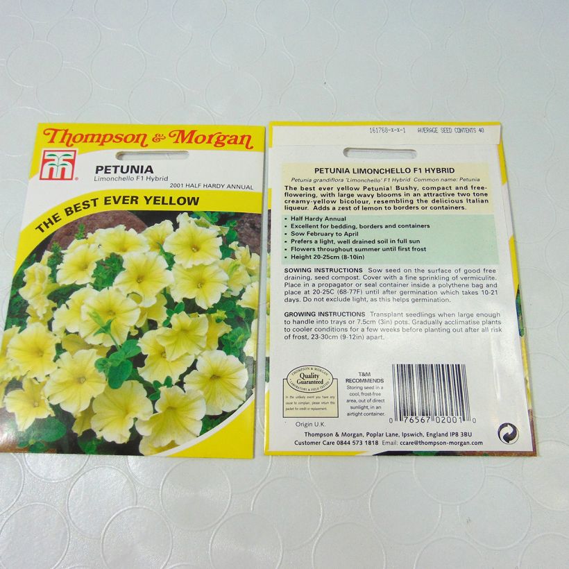 Beispiel eines Exemplars von Petunia Limoncello (Samen) die Tüte mit 40 Samen wie geliefert