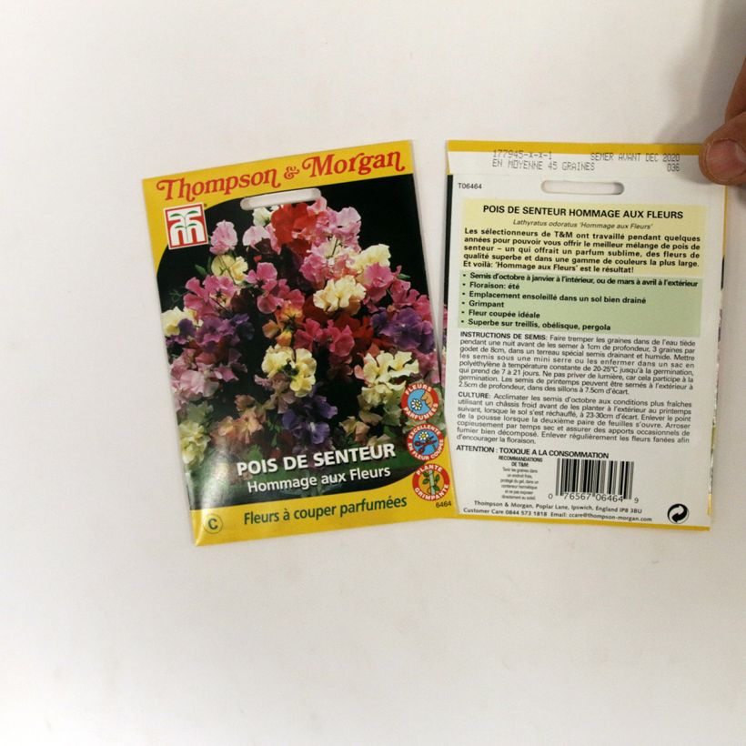 Beispiel eines Exemplars von Duftwicke Hommage aux fleurs (Samen) - Lathyrus odoratus die Tüte mit 45 Samen wie geliefert
