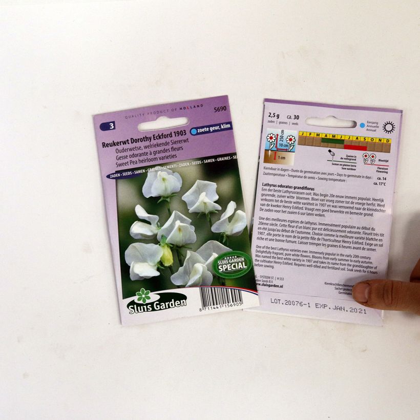 Beispiel eines Exemplars von Duftwicke Dorothy Eckford (Samen) - Lathyrus odoratus die Tüte mit 30 Samen wie geliefert
