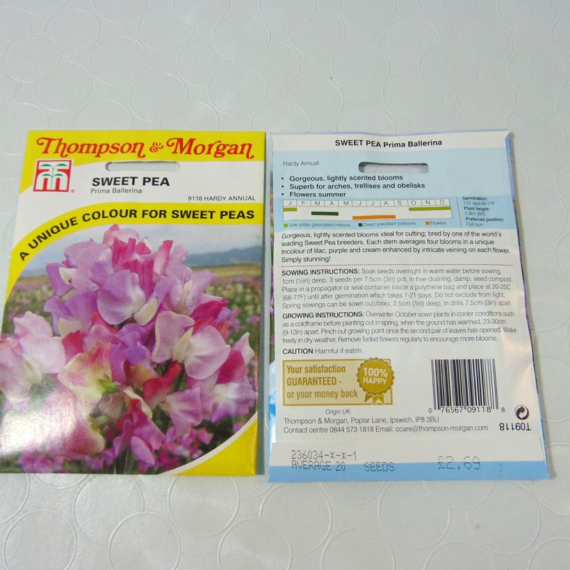 Beispiel eines Exemplars von Duftwicke Prima Ballerina (Samen) - Lathyrus odoratus die Tüte mit 25 Samen (2,5g) wie geliefert