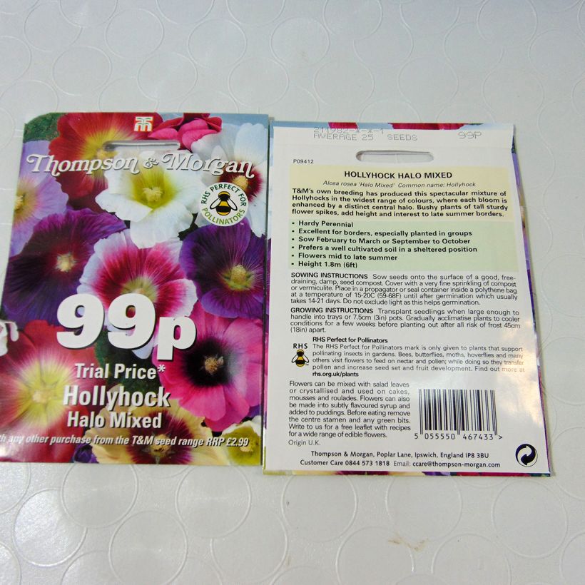 Beispiel eines Exemplars von Alcea rosea Halo Mixed (Samen) - Gewöhnliche Stockrose die Tüte mit 25 Samen wie geliefert