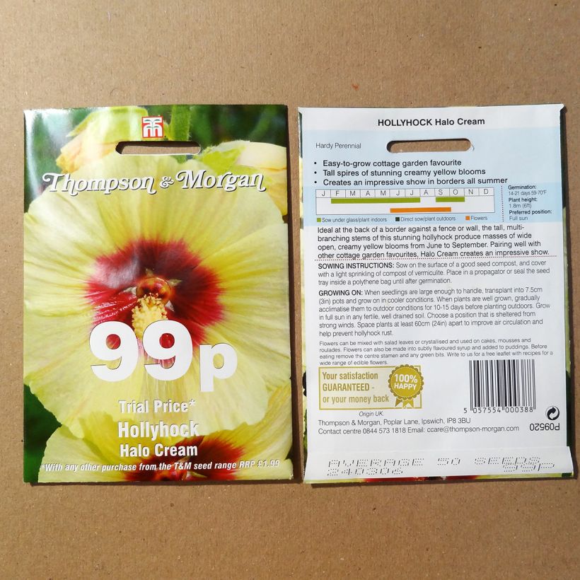 Beispiel eines Exemplars von Alcea rosea Halo Cream (Samen) - Gewöhnliche Stockrose die Tüte mit 25 Samen wie geliefert