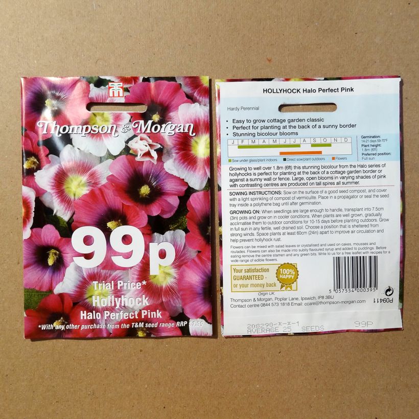 Beispiel eines Exemplars von Alcea rosea Halo Perfect Pink (Samen) - Gewöhnliche Stockrose die Tüte mit 25 Samen wie geliefert