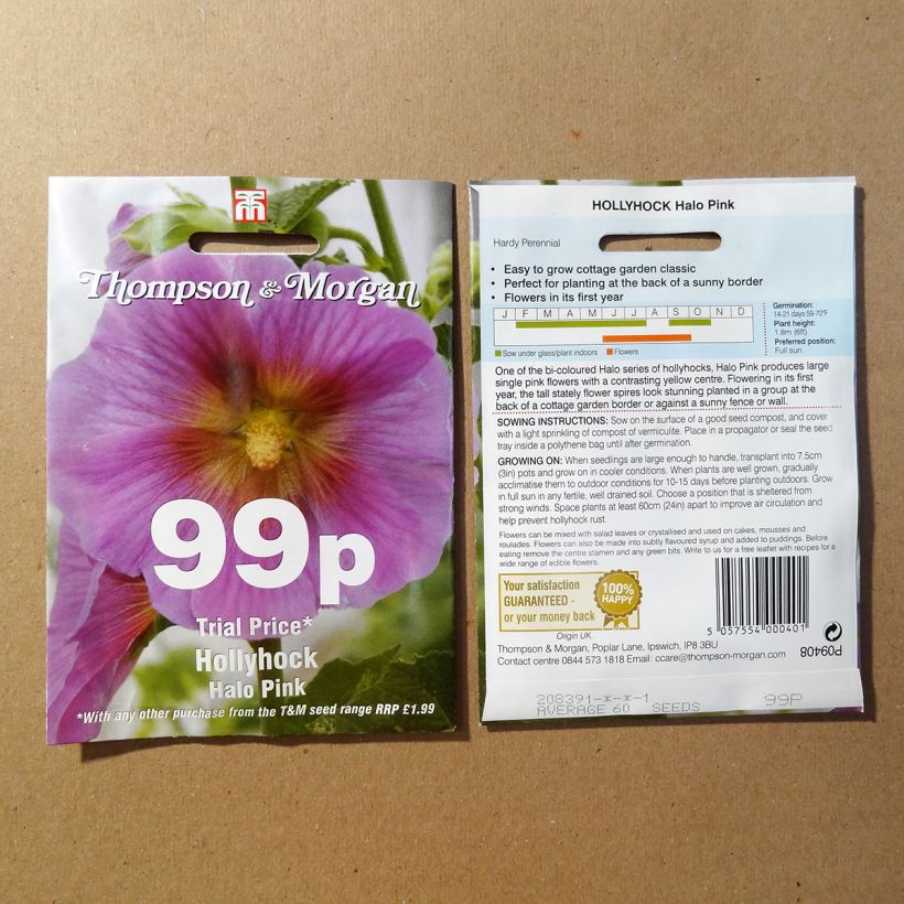 Beispiel eines Exemplars von Alcea rosea Halo Pink (Samen) - Gewöhnliche Stockrose die Tüte mit 25 Samen wie geliefert