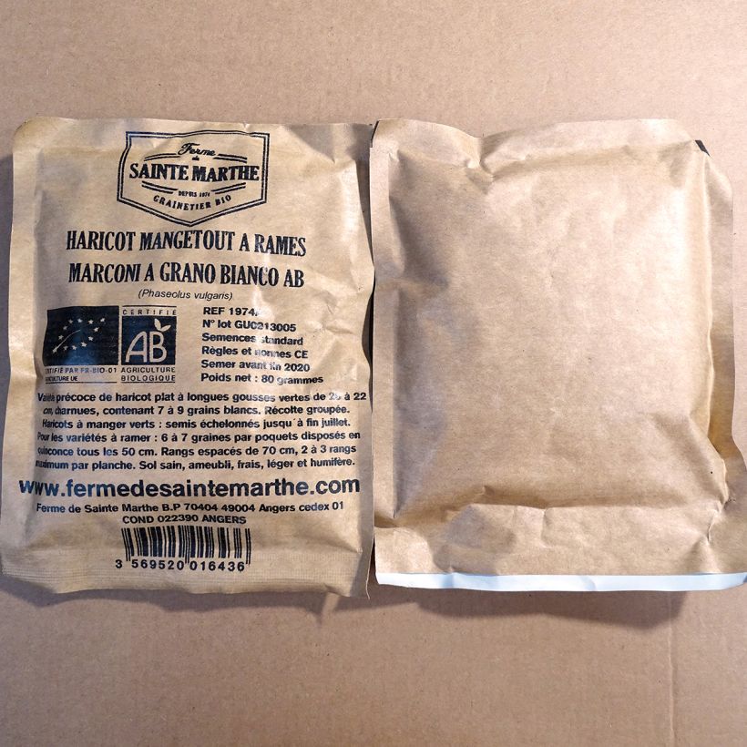 Beispiel eines Exemplars von Stangenbohne Marconi a Grano Bianco Bio die Tüte mit 160 Samen (80g) wie geliefert