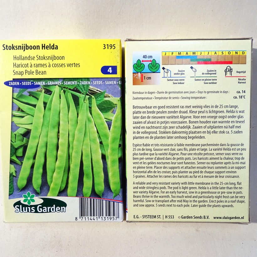 Beispiel eines Exemplars von Stangenbohne Helda die Tüte mit 150 Samen (85g) wie geliefert