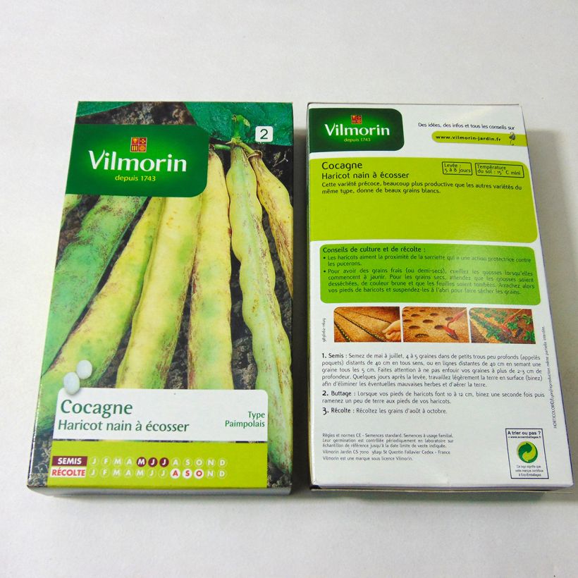 Beispiel eines Exemplars von Zwergbohne Cocagne - Vilmorin die Tüte mit 400 Samen (200g) wie geliefert