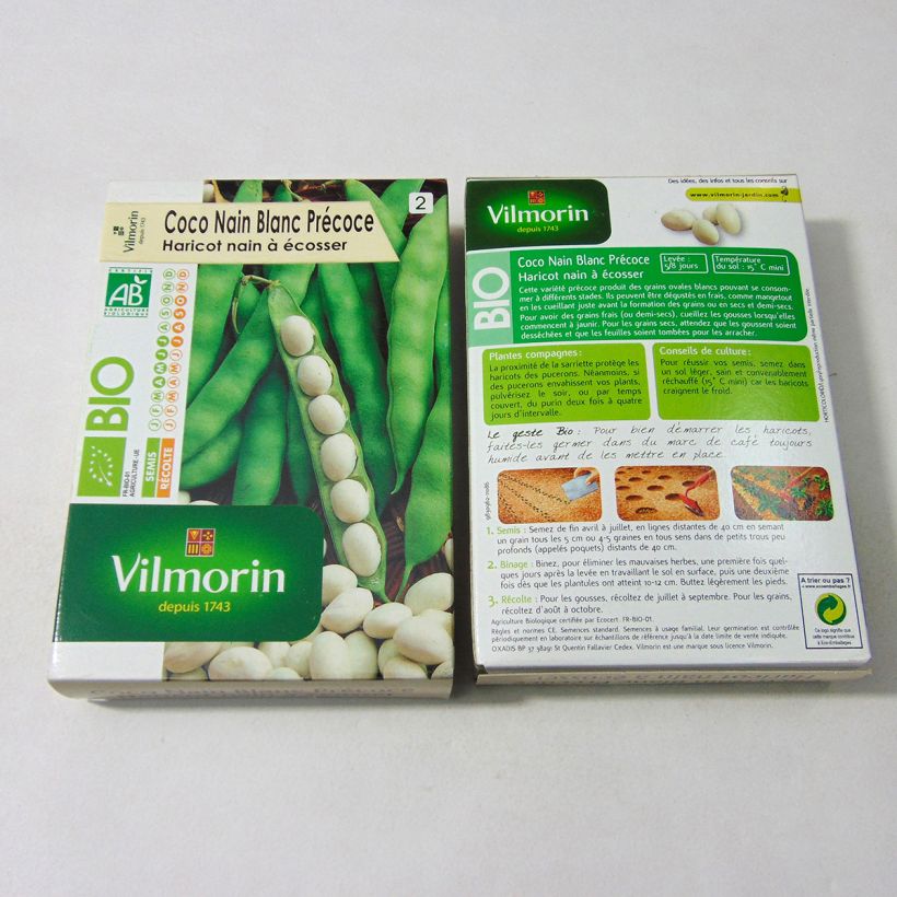 Beispiel eines Exemplars von Zwergbohne Coco Bio - Vilmorin die Tüte mit 200 Samen (100g) wie geliefert
