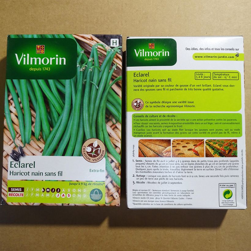 Beispiel eines Exemplars von Zwergbohne Eclarel - Vilmorin die Tüte mit 200 Samen (100g) wie geliefert