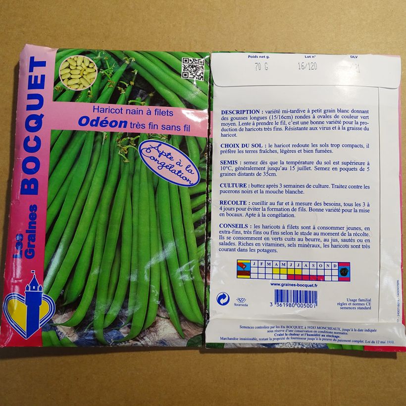 Beispiel eines Exemplars von Zwergbohne Odeon die Tüte mit 140 Samen (70g) wie geliefert