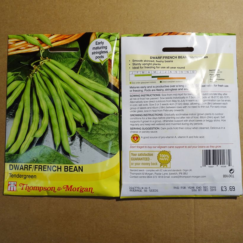 Beispiel eines Exemplars von Zwergbohne Tendergreen die Tüte mit 80 Samen wie geliefert