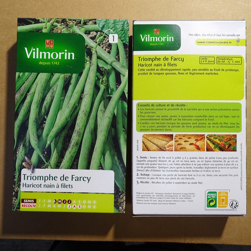 Beispiel eines Exemplars von Zwergbohne Triomphe de Farcy - Vilmorin die Tüte mit 500 Samen (250g) wie geliefert