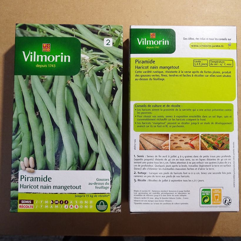 Beispiel eines Exemplars von Buschbohne Piramide - Vilmorin die Tüte mit 400 Samen (200g) wie geliefert