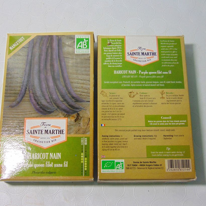 Beispiel eines Exemplars von Zwergbohne Purple Queen Bio die Tüte mit 160 Samen (80g) wie geliefert