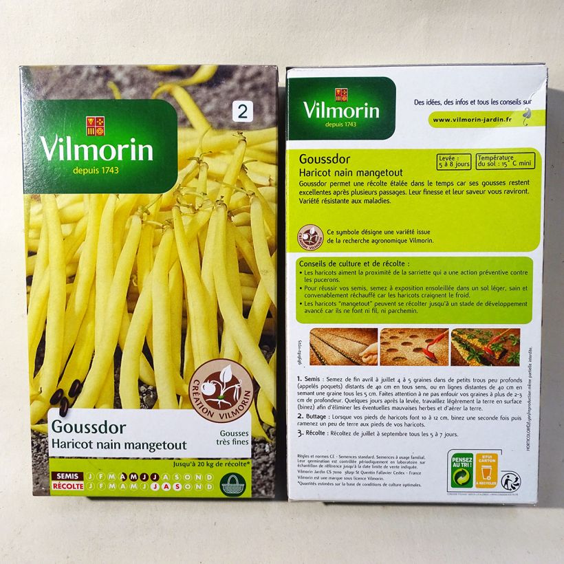 Beispiel eines Exemplars von Zwergbohne Goussdor - Vilmorin die Tüte mit 400 Samen (200g) wie geliefert