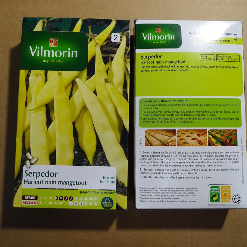 Beispiel eines Exemplars von Zwergbohne Serpedor - Vilmorin die Tüte mit 400 Samen (200g) wie geliefert