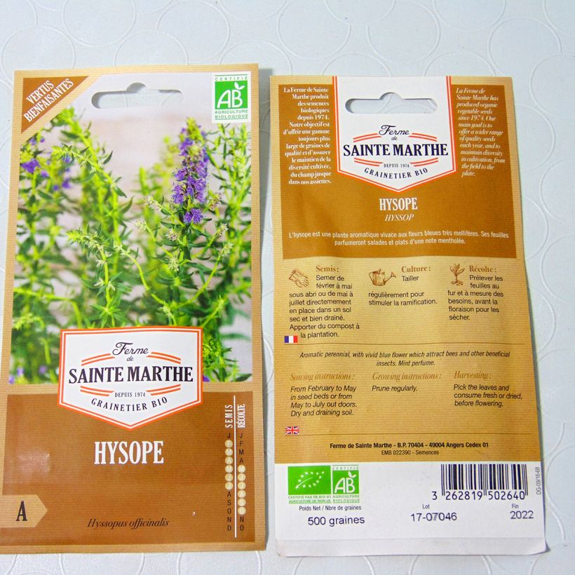 Beispiel eines Exemplars von Ysop Bio - Ferme de Sainte Marthe - Hyssopus officinalis die Tüte mit 500 Samen wie geliefert